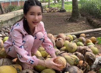 Cùng câu Cá Thòi Lòi Bến Tre Miền Tây Miệt Vườn | Kiều Thơ VLOG