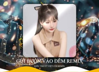 Gửi Buồn Vào Đêm Remix – Việt Còi ft. Kiều Thơ | NVC Music